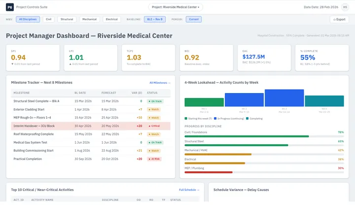 Project Manager Dashboard — sample design